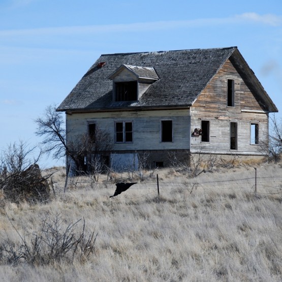 South Saskatchewan River – Central Gallery Image