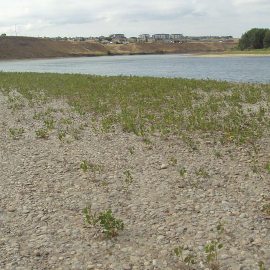 Ecosystems Gallery Image