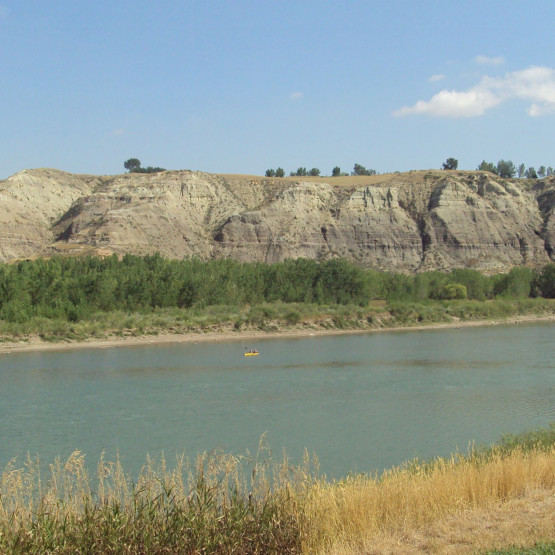 Ecosystems Gallery Image