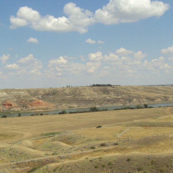 Ecosystems Gallery Image