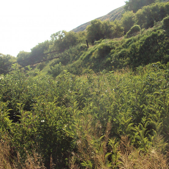 Ecosystems Gallery Image