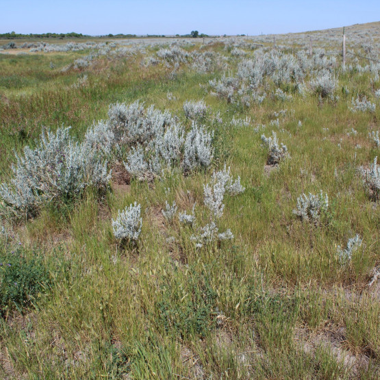 Ecosystems Gallery Image