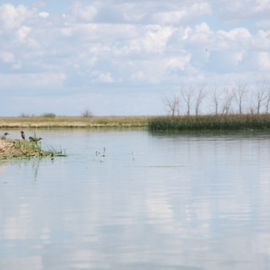 Pakowki Lake Gallery Image