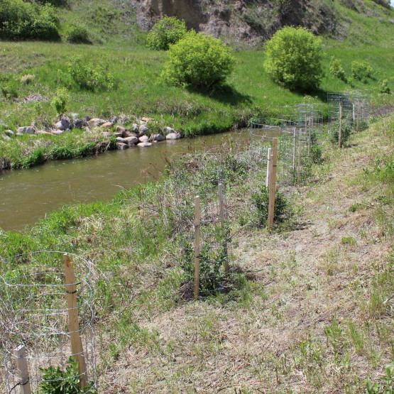 Saratoga Park Site Gallery Image