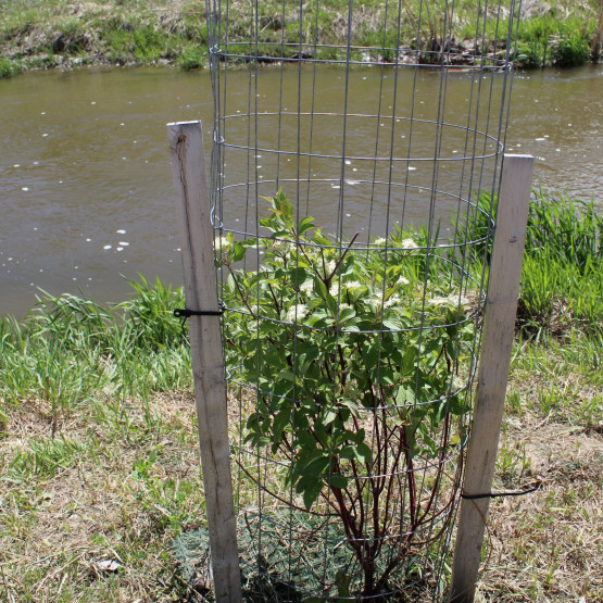 Saratoga Park Site Gallery Image