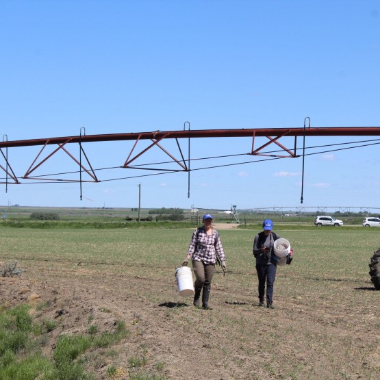 Yeast Site Gallery Image