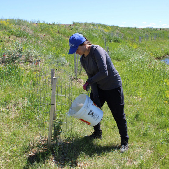 Yeast Site Gallery Image