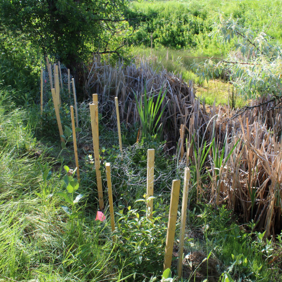 Connaught Pond Site Gallery Image