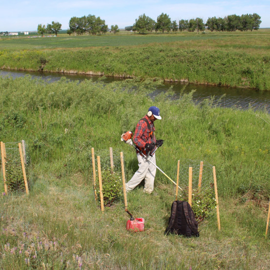 Yeast Site Gallery Image