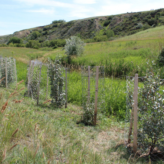 Saratoga Park Site Gallery Image