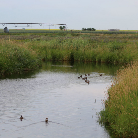 Ecosystems Gallery Image