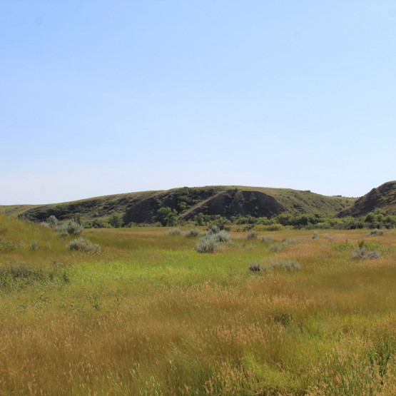 Ecosystems Gallery Image