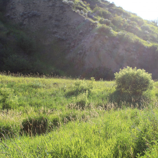 Saratoga Park Site Gallery Image