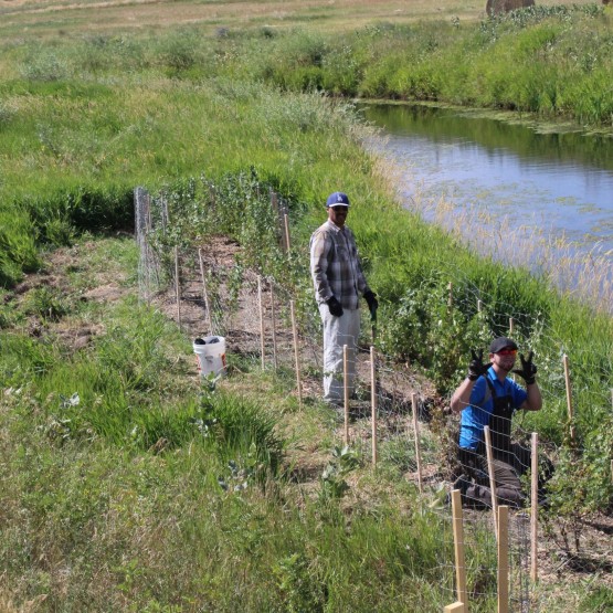 Yeast Site Gallery Image
