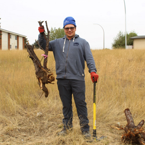 Connaught Pond Site Gallery Image