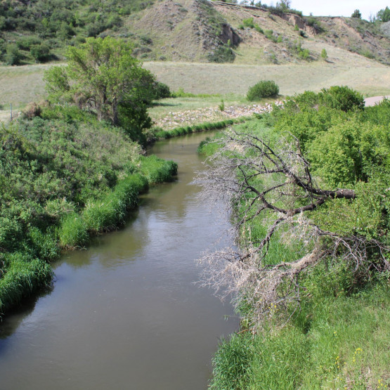 Ecosystems Gallery Image
