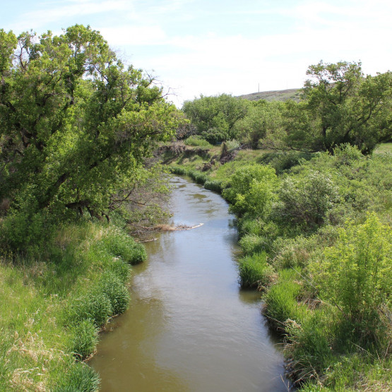 Saratoga Park Site Gallery Image