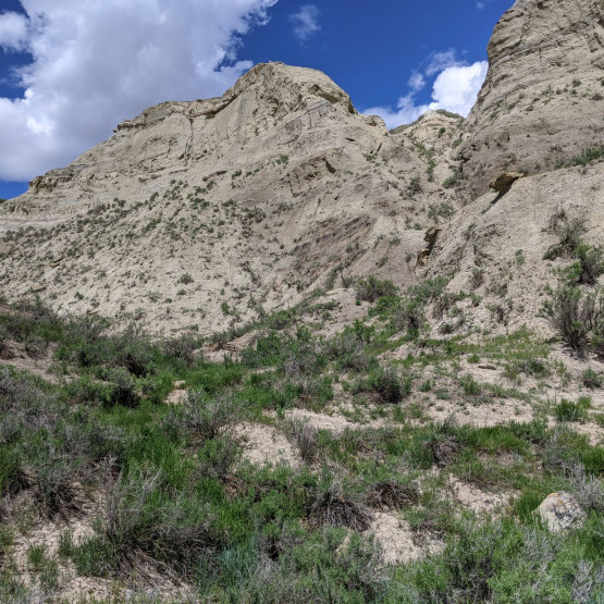 Ecosystems Gallery Image