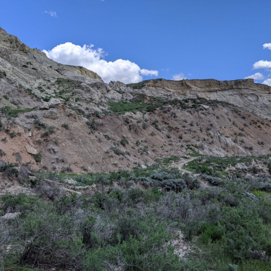 Ecosystems Gallery Image