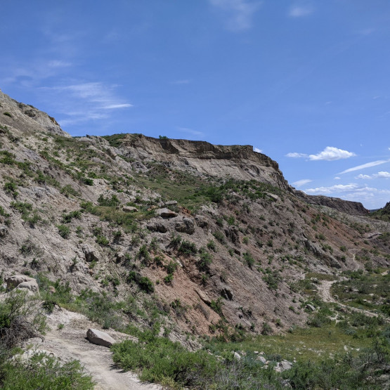 Ecosystems Gallery Image