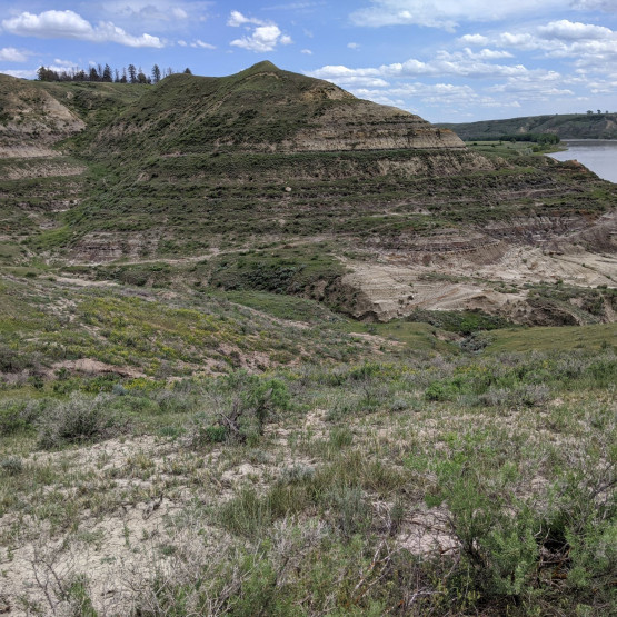 Ecosystems Gallery Image