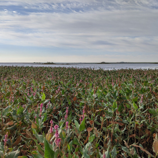 Ecosystems Gallery Image