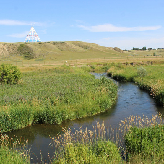 Ecosystems Gallery Image