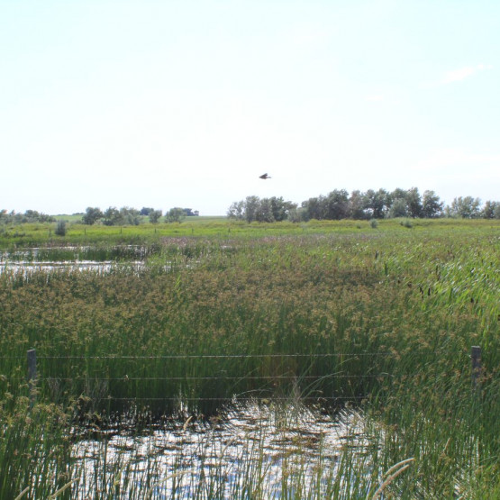 Ecosystems Gallery Image