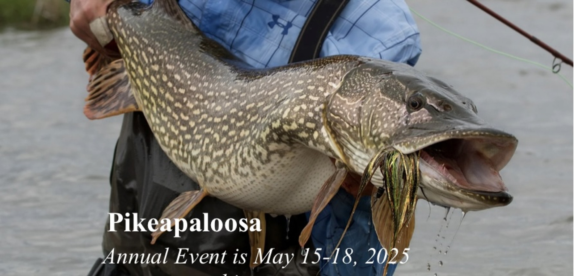 Pikeapaloosa 2025