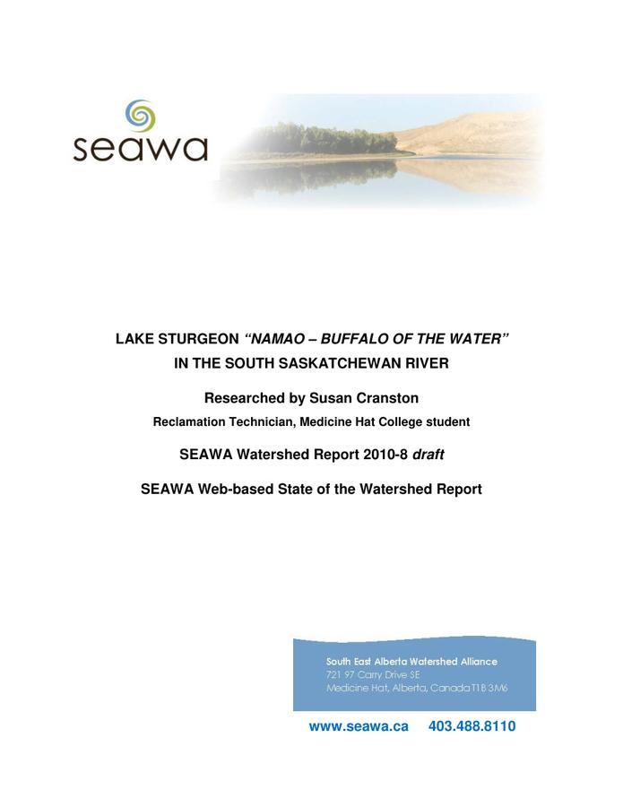 8 Seawa Wtrshdrprt 2010 8 Lakesturgeoninsouthsaskriver