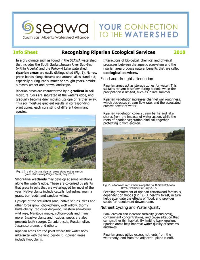 Recognizing Riparian Ecological Services Nov 2020