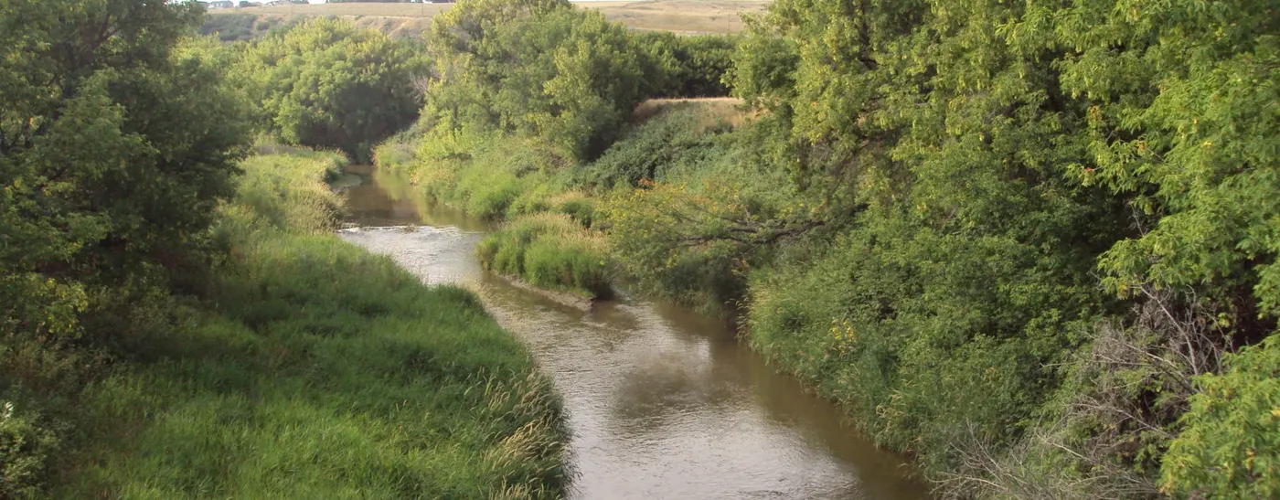 Aerial view of river channels across prairie watershed