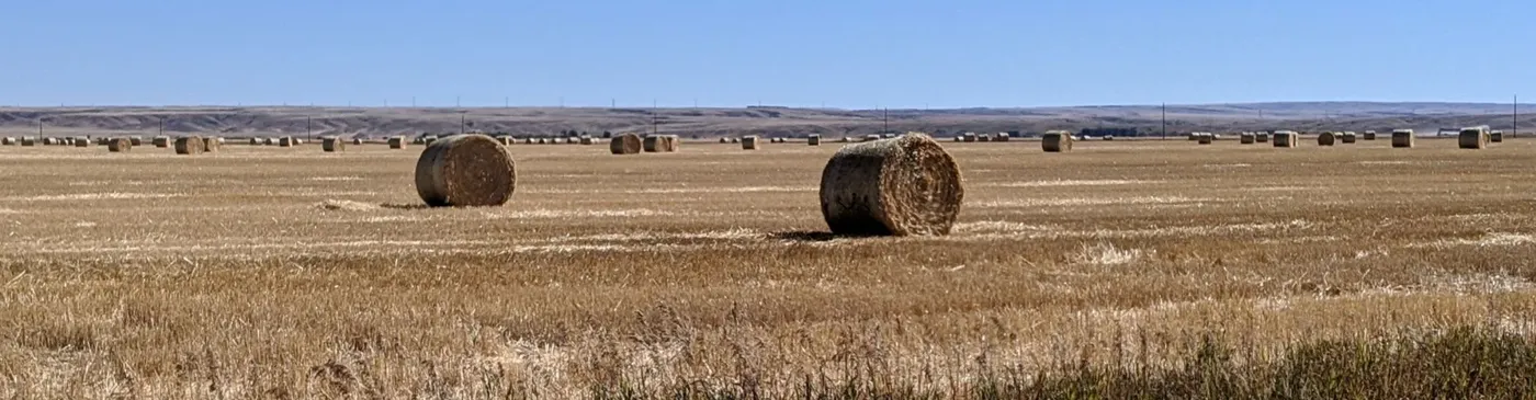 Field day or tour at a demonstration site