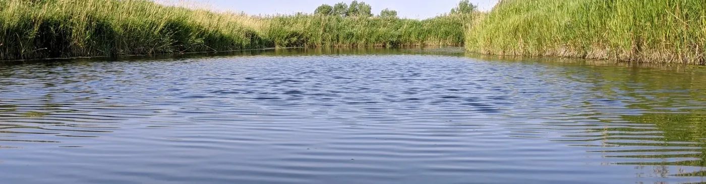 People working and volunteering with SEAWA